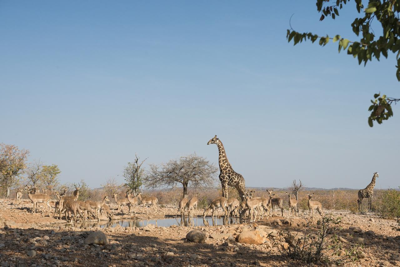Ongava Lodge Окаукуэджо Экстерьер фото